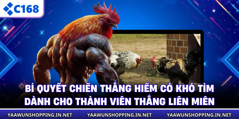 Bí quyết chiến thắng hiếm có khó tìm dành cho thành viên thắng liên miên