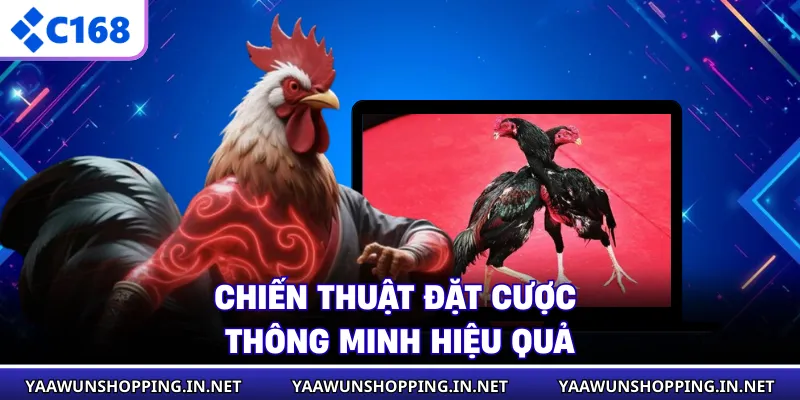 Chiến thuật đặt cược thông minh hiệu quả