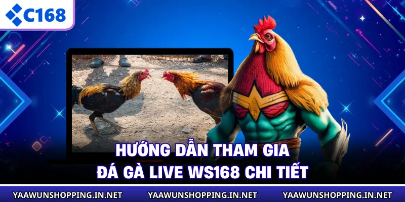 Hướng dẫn tham gia đá gà live WS168 chi tiết
